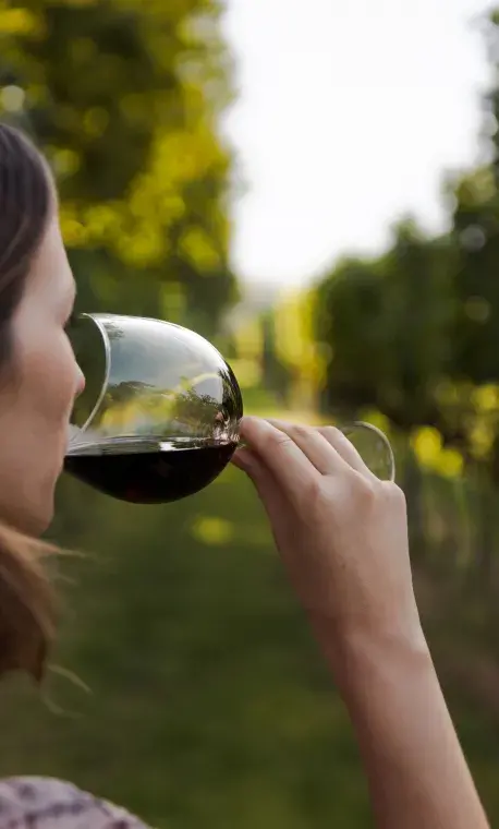 El vino apropiado para los sabores más intensos